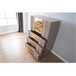 Lorenzo Gold Detailed Chest made with Wood and Gold accents in Gray