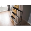 Lorenzo Gold Detailed Chest made with Wood and Gold accents in Gray