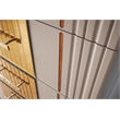 Lorenzo Gold Detailed Chest made with Wood and Gold accents in Gray