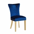 Eva 2 Piece Gold Legs Dining Chairs Finished with Velvet Fabric in Blue