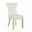 Eva 2 Piece Gold Legs Dining Chairs Finished with Velvet Fabric in Beige