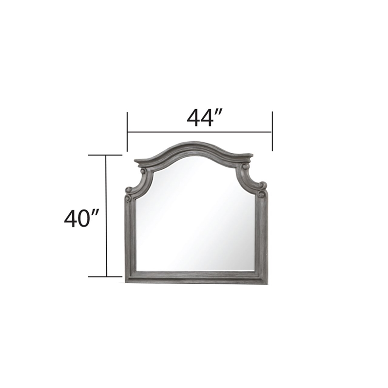 Grace Traditional Mirror Made With Wood in Gray