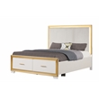 Obsession Contemporary Style Queen Tufted Bed Made with Wood in Gold Finish