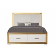 Obsession Contemporary Style Queen 5PC Bedroom Set Made with Wood in Gold Finish