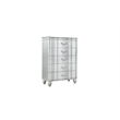 Landmark Traditional Style 5-Drawer Chest Made With Wood in Silver color
