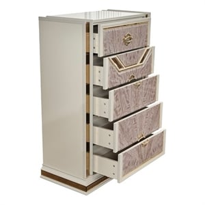 Omary Traditional Style Chest with gold Accent made with Wood in Beige