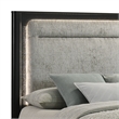Opel Modern Queen Storage Bed with LED Headboard in Black
