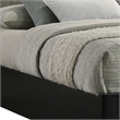 Opel Modern Queen Storage Bed with LED Headboard in Black