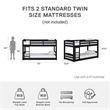 Levan Home Solid Wood Twin Floor Bunk Bed in Gray