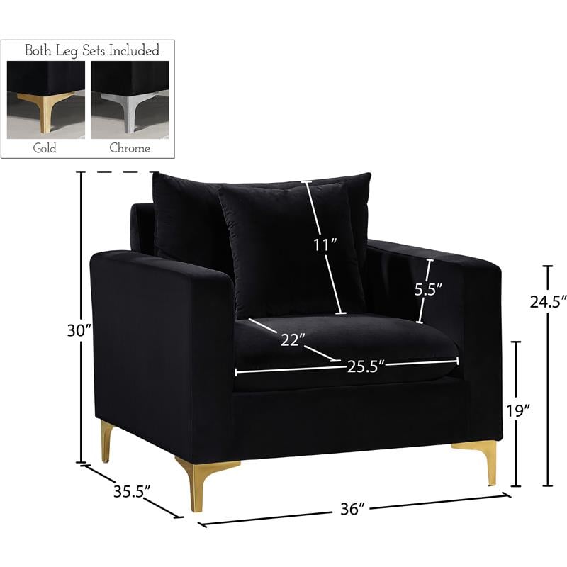 Meridian Furniture Naomi Velvet Accent Chair in Black