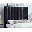 Meridian Furniture Enzo Solid Wood and Velvet Full Bed in Black