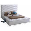 Meridian Furniture Bliss Solid Wood Tufted Velvet Queen Bed in White