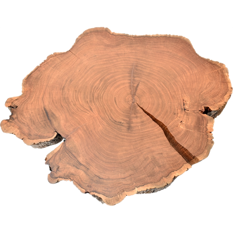 Meridian Furniture Woodland Live Edge Acacia Wood Top Coffee Table