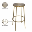 Meridian Furniture Tyson Brushed Gold Iron Barstool