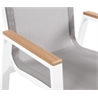 Meridian Furniture Nizuc Grey Outdoor Patio Dining Arm Chair (Set of 2)