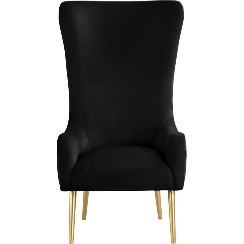 Meridian Furniture Alexander Black Velvet Accent Chair