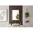 Meridian Furniture Ghost Gold Mirror