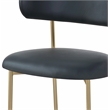 Meridian Furniture Lupita Black Vegan Leather Dining Chair (Set of 2)