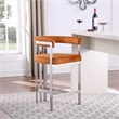 Meridian Furniture Marcello Cognac Velvet Counter Stool (Set of 2)