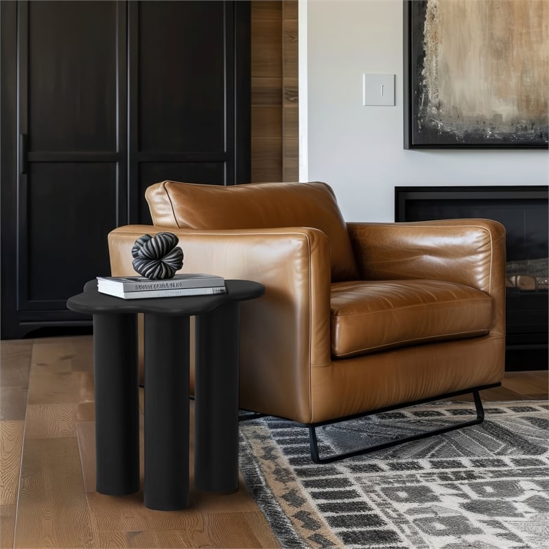 Meridian Furniture Romaine Contemporary Iron Metal End Table in Matte Black