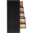 Meridian Furniture Siena Black Ash Wood and Natural Cane Chest