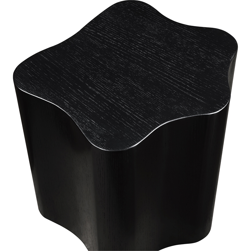 Meridian Furniture Zaire Black End Table