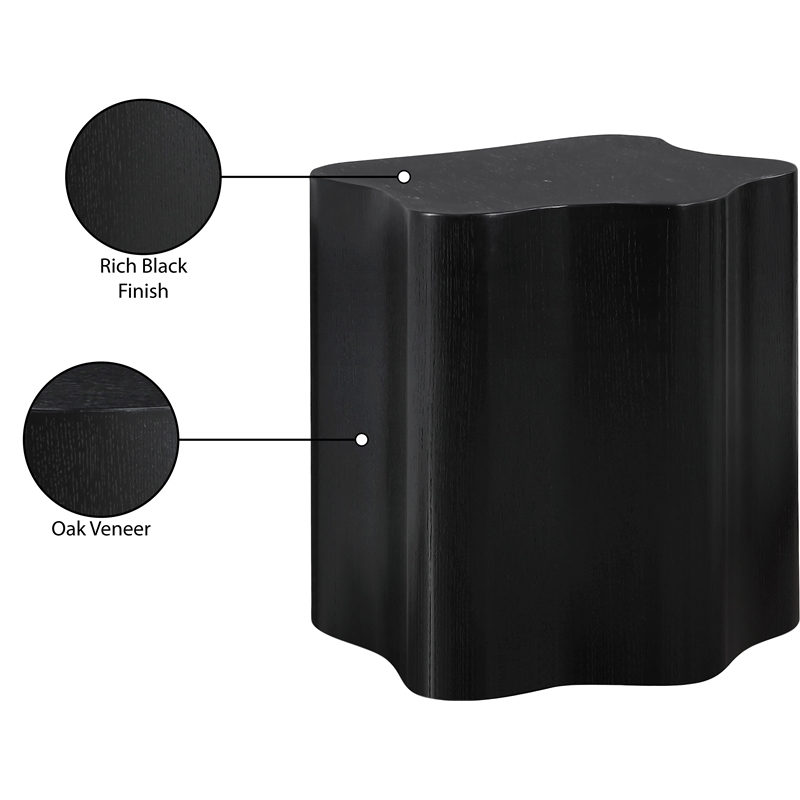 Meridian Furniture Zaire Black End Table