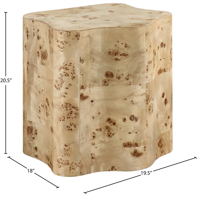 Meridian Furniture Zaire Burl Wood End Table