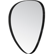 Meridian Furniture Finch Matte Black Iron Metal Frame Mirror
