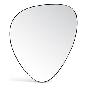 Meridian Furniture Finch Matte Black Iron Metal Frame Mirror