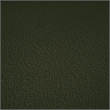 Meridian Furniture Bloom Green Teddy Fabric Chair