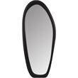 Meridian Furniture Holland Black Polyresin Mirror