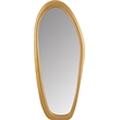 Meridian Furniture Holland Brass Polyresin Mirror