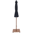 Meridian Furniture Fiji Black Polyester Patio Umbrella with Base Set