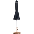 Meridian Furniture Amalfi Black Polyester Patio Umbrella with Base Set