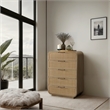 Meridian Furniture Windsor Natural Solid Wood And Natural Cane Chest