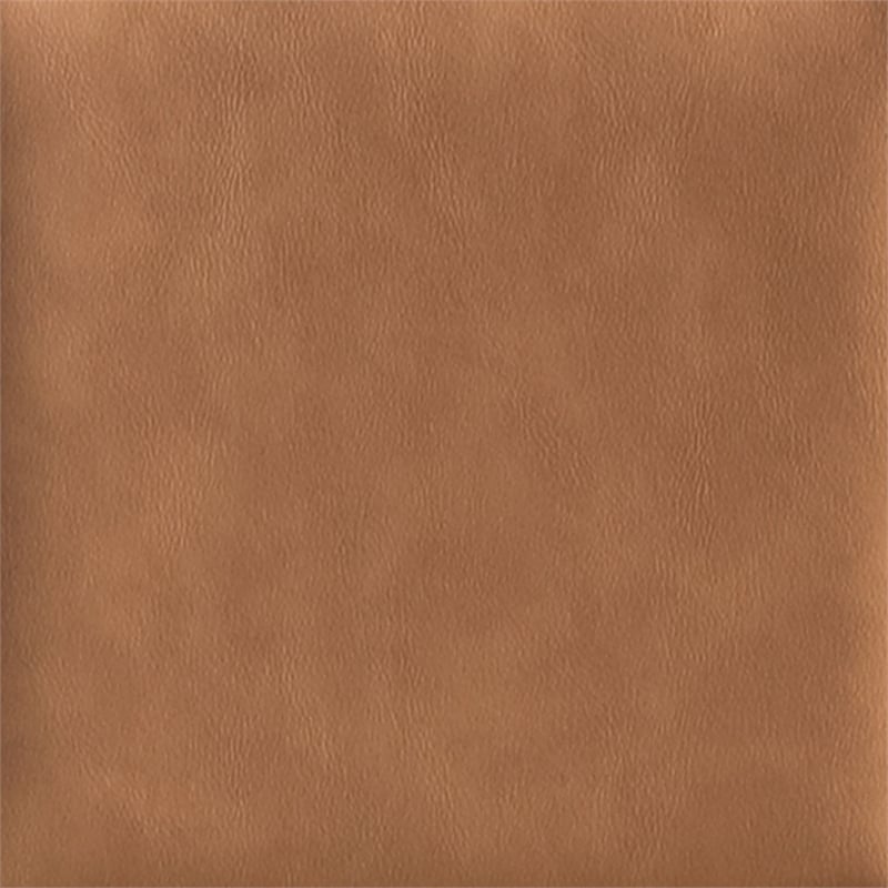Meridian Furniture Adrian Cognac Vegan Leather Dining Arm Chair (Set of 2)