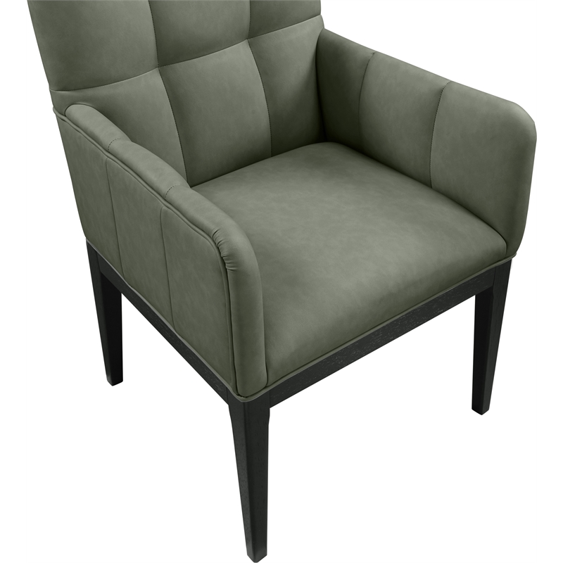 Meridian Furniture Adrian Green Vegan Leather Dining Arm Chair (Set of 2)