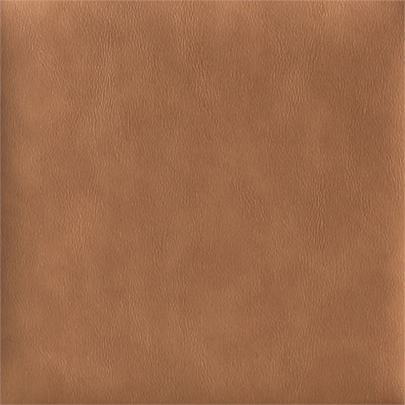 Meridian Furniture Adrian Cognac Vegan Leather Dining Side Chair (Set of 2)