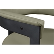 Meridian Furniture Romeo Olive Green Vegan Leather Dining Chair (Set of 2)