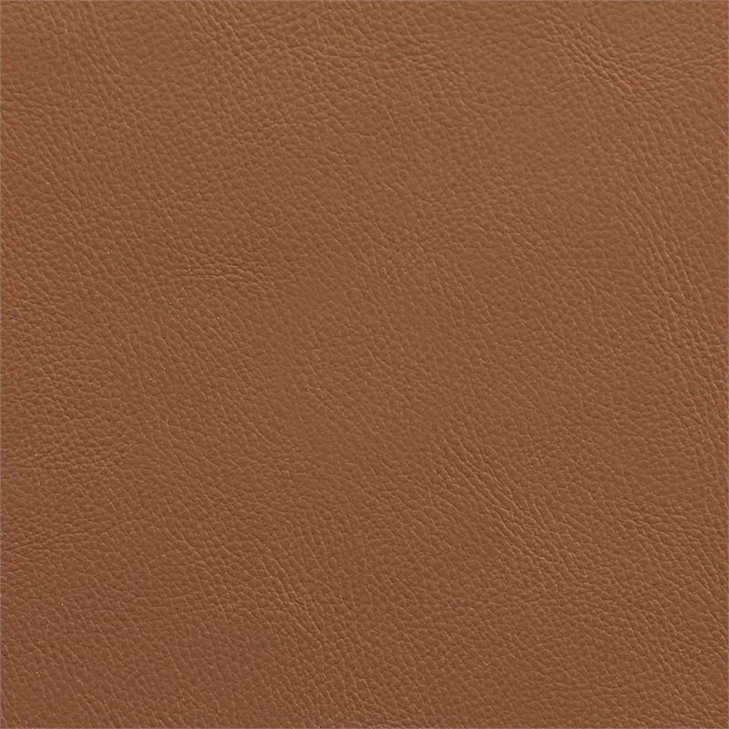Meridian Furniture Rawlins Cognac Vegan Leather Upholstered Accent Chair