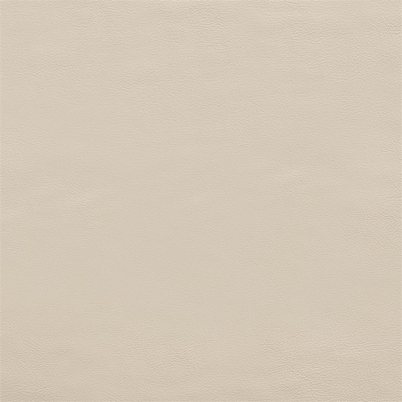 Meridian Furniture Rawlins Beige Vegan Leather Upholstered Accent Chair