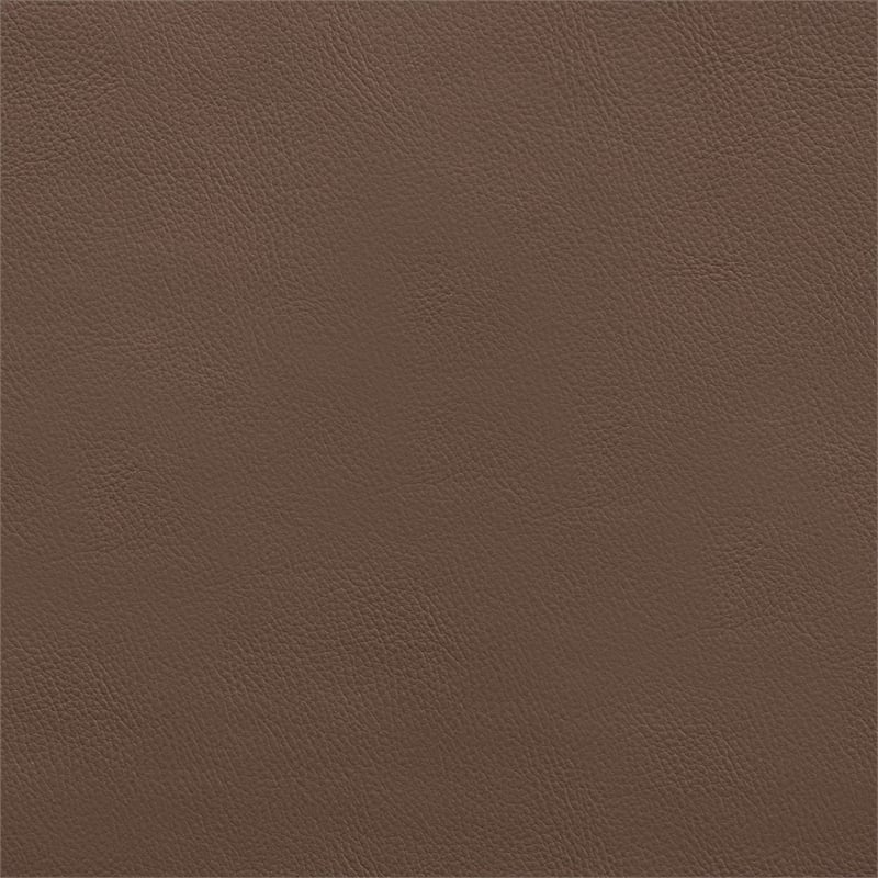 Meridian Furniture Rawlins Brown Vegan Leather Upholstered Accent Chair