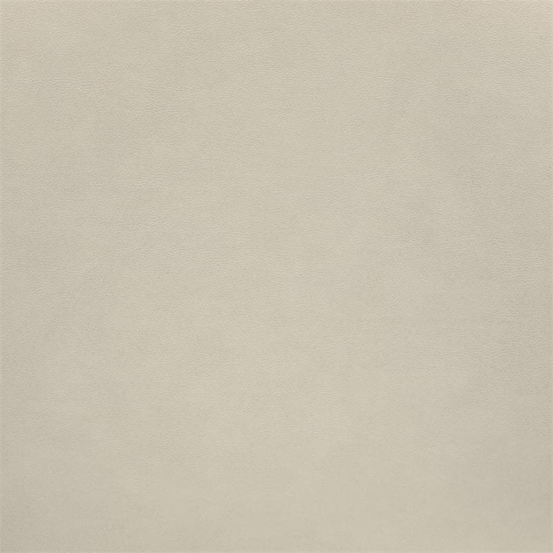 Meridian Furniture Riccio Beige Vegan Leather Dining Side Chair (Set of 2)