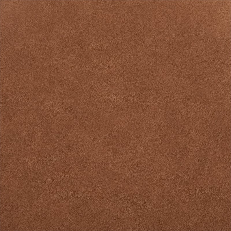 Meridian Furniture Riccio Cognac Vegan Leather Dining Side Chair (Set of 2)