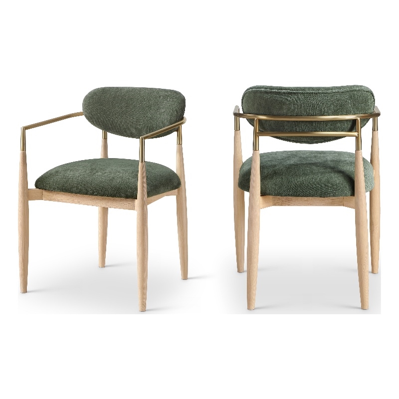 Meridian Furniture Riccio Olive Performance Fabric Dining AC (Set of 2)