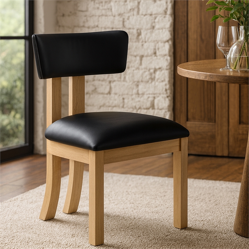 Meridian Furniture Lavrin Black Vegan Leather Dining Side Chair (Set of 2)