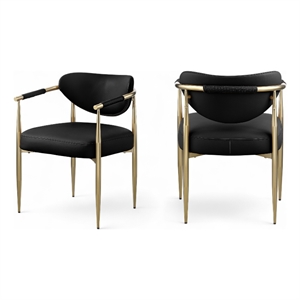 Meridian Furniture Virella Black Vegan Leather Dining Chair (Set of 2)
