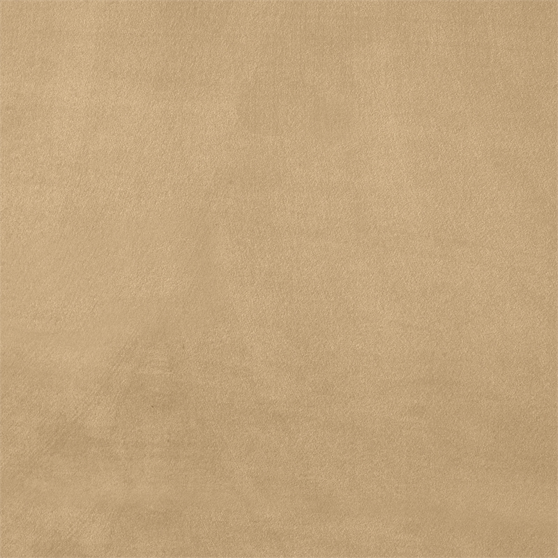 Meridian Furniture Kendall Camel Velvet Upholstered Twin Bed