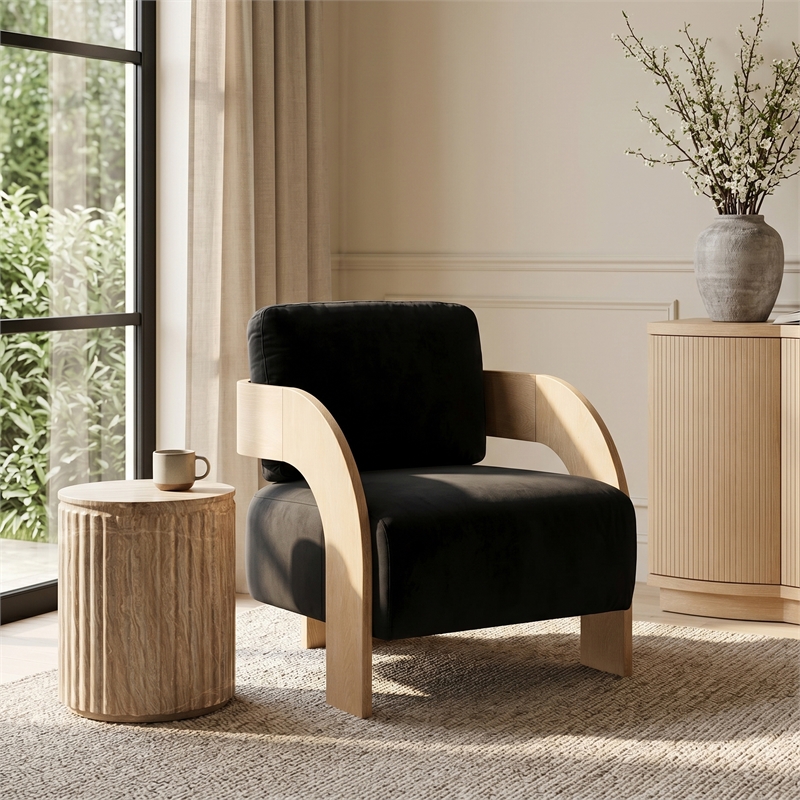 Meridian Furniture Cedra Black Velvet Performance Fabric Accent Chair